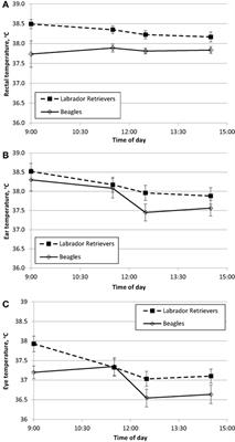 Eye and Ear Temperature Using Infrared Thermography Are Related to Rectal Temperature in Dogs at Rest or With Exercise